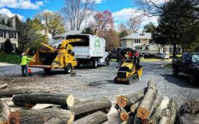 Why Choose Our Tree Removal Services in Kearns, UT?