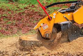 Best Stump Grinding and Removal  in Kearns, UT